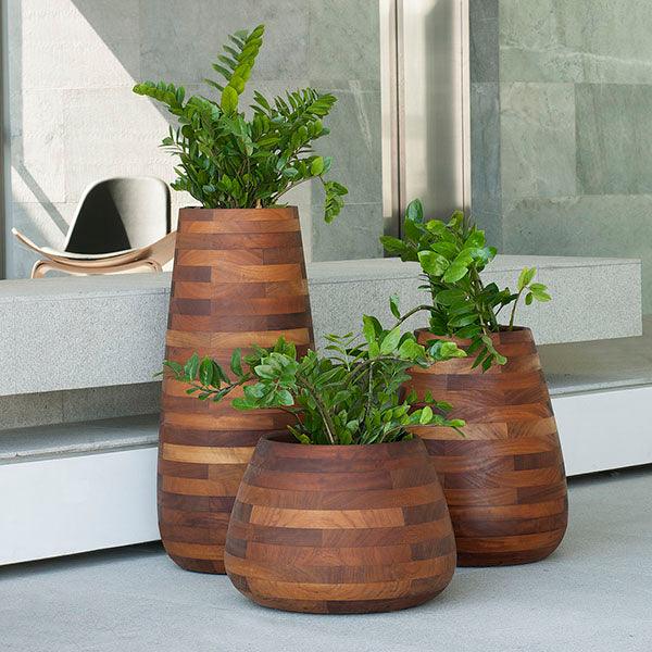 Indigenus Planters