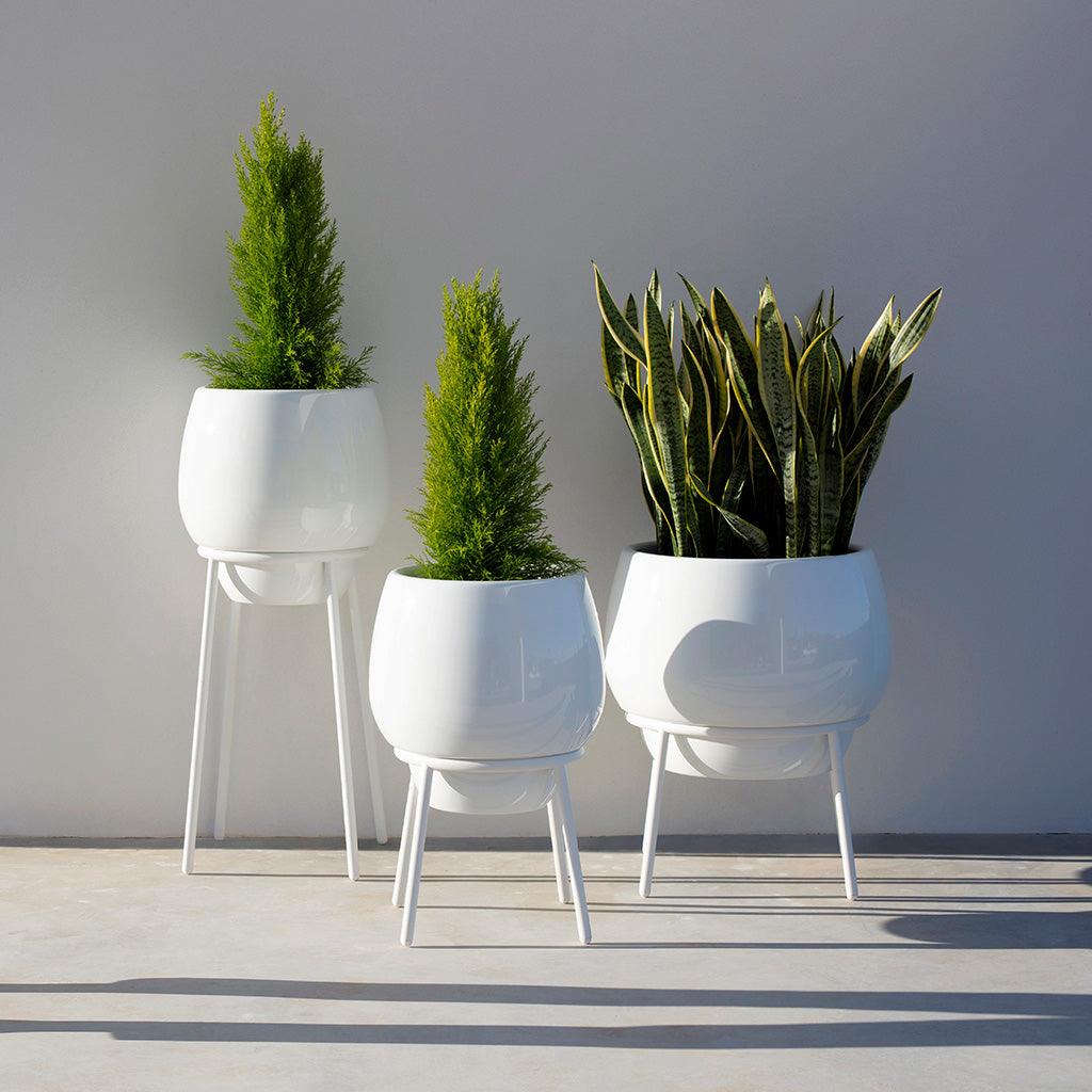 Mowee Planters - Allred Collaborative