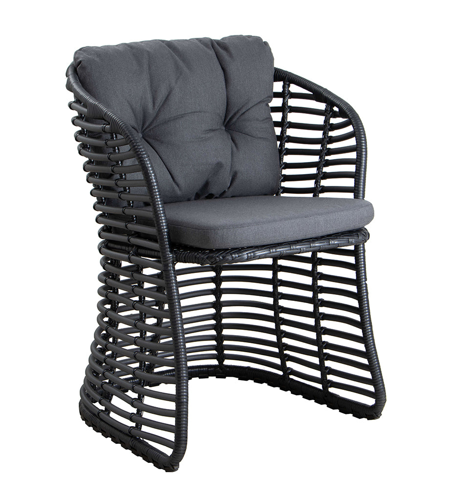 Basket Chair