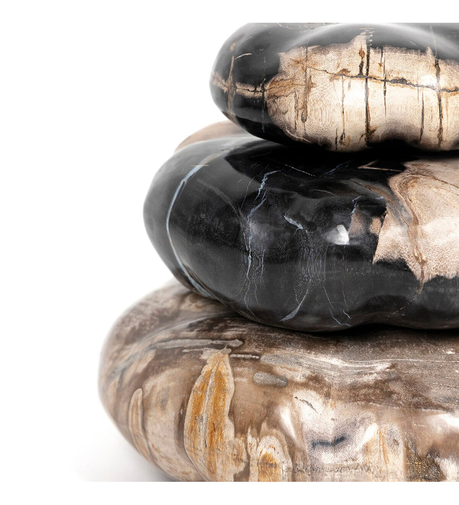 Petrified Wood Organic Sculpture - Set Of 3