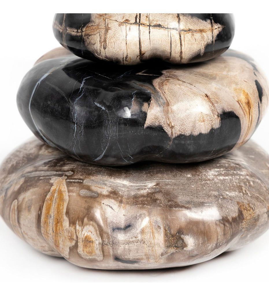 Petrified Wood Organic Sculpture - Set Of 3