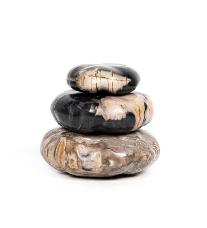 Petrified Wood Organic Sculpture - Set Of 3