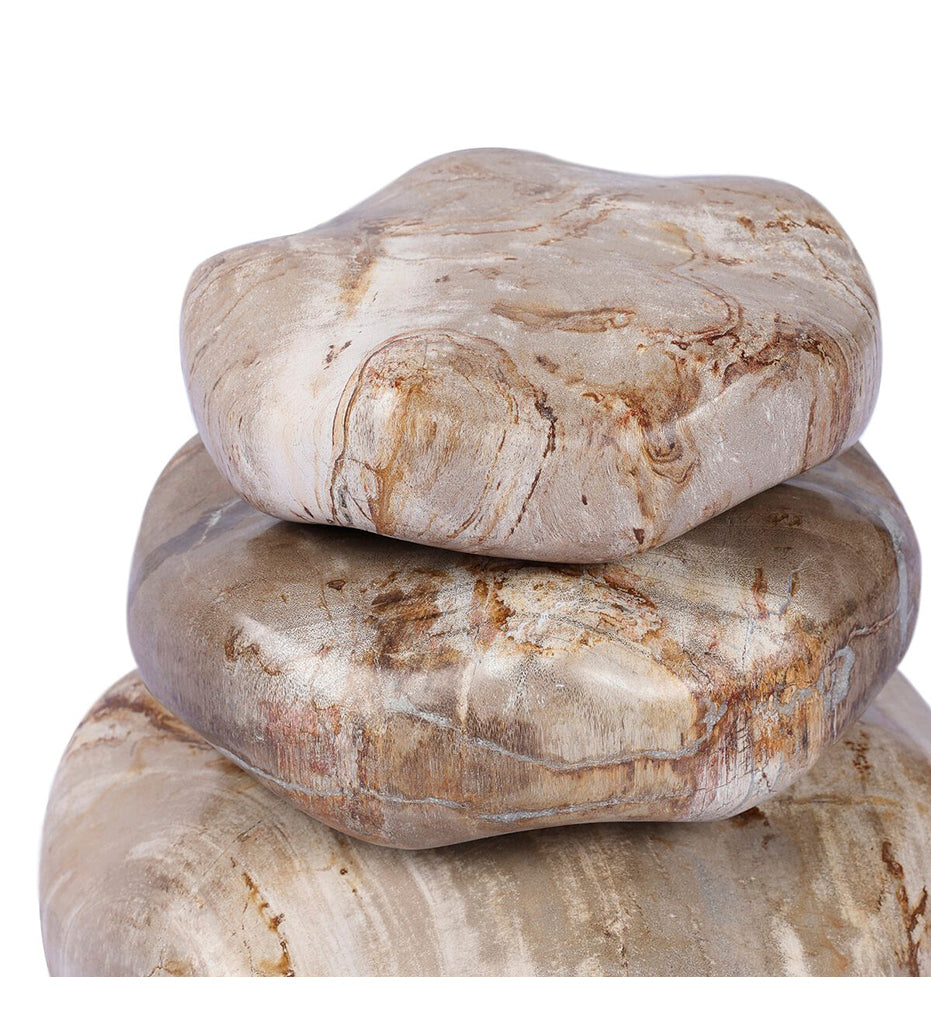 Petrified Wood Organic Sculpture - Set Of 3