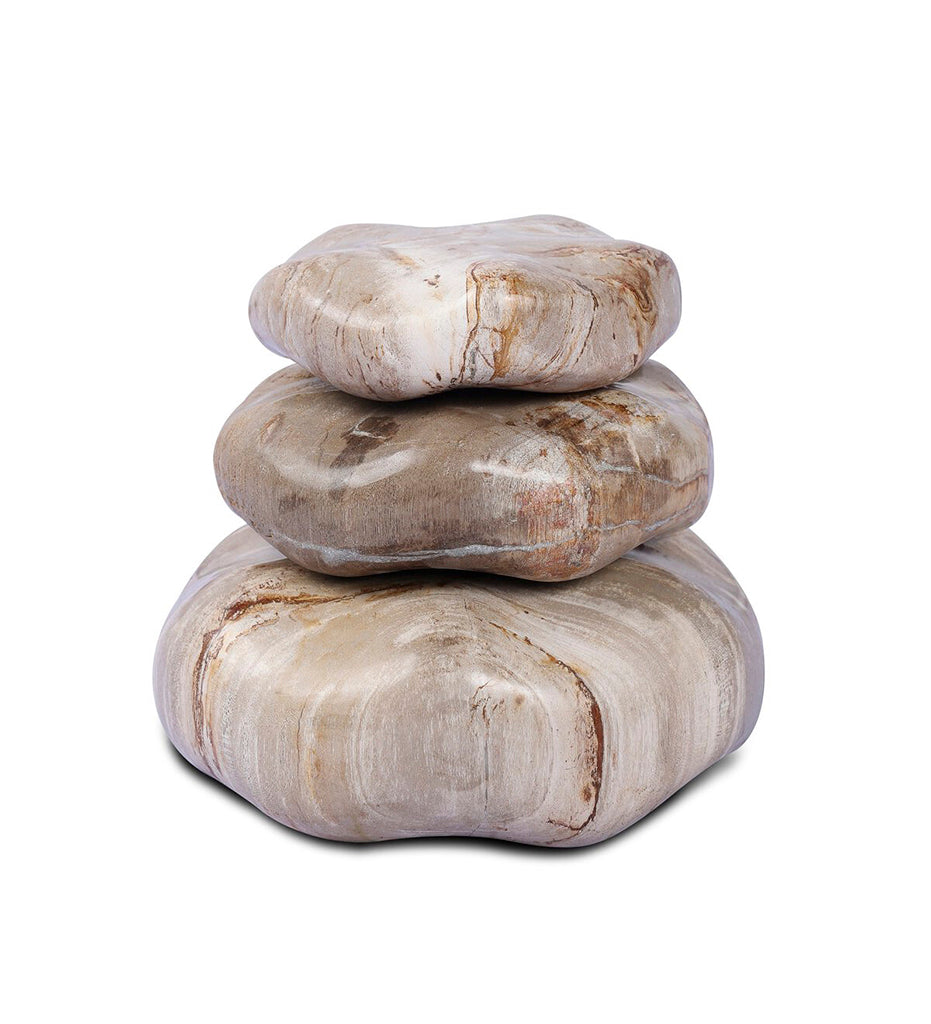 Petrified Wood Organic Sculpture - Set Of 3