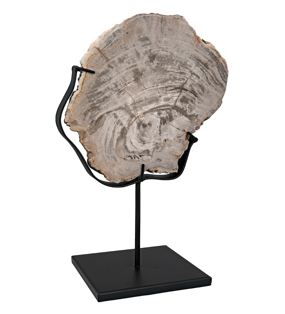 Noir Wood Fossil with Stand - 8 in AM-39C