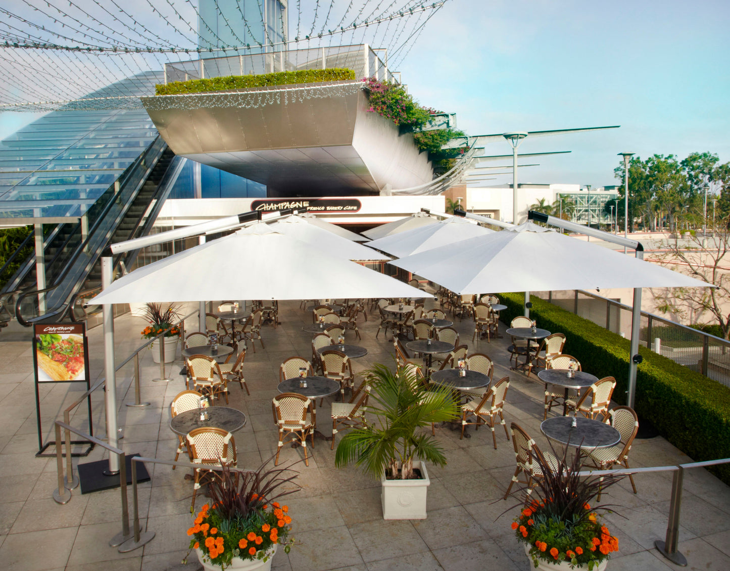 10' Orion Square Cantilever Umbrella