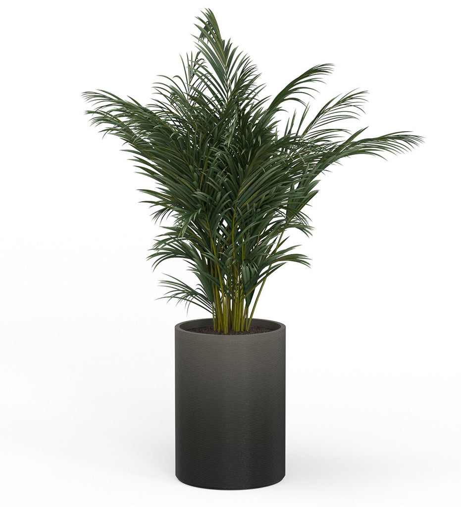 Solana X-Large Round Planter - Stacks -