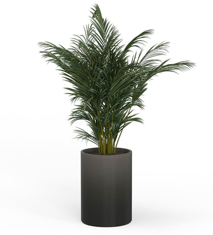 Solana X-Large Round Planter - Stacks -