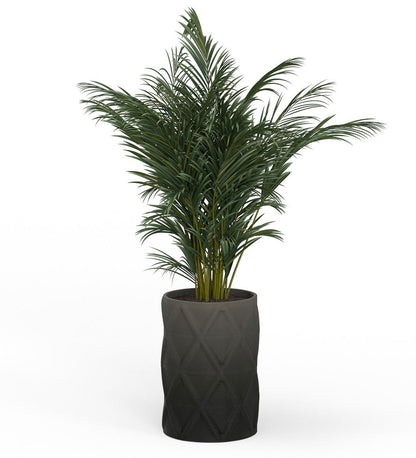 Solana X-Large Round Planter - Diamond -