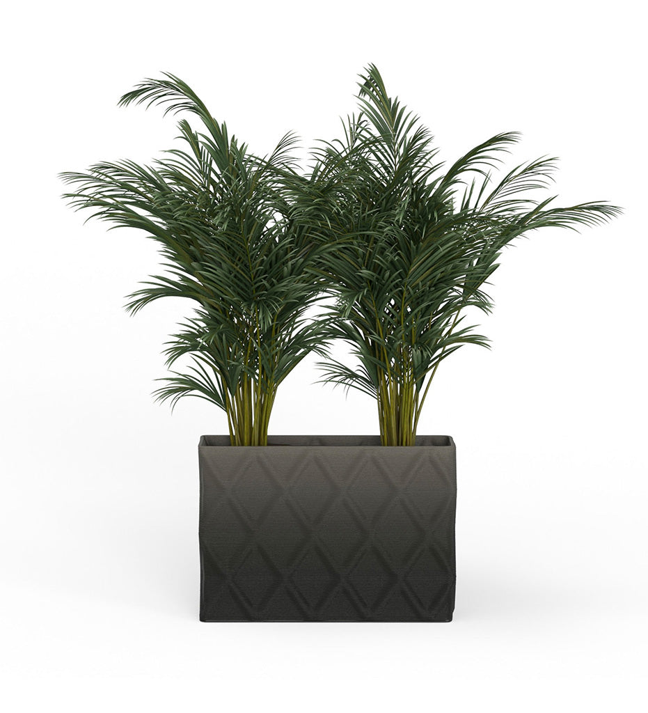 Avila X-Large Rectangular Planter - Diamond -