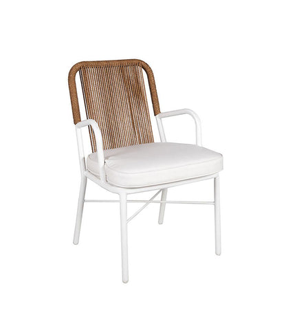 Allred Collaborative - Almeco - Axis Dining Armchair - - Axis Dining Armchair - - 205210400-M0001