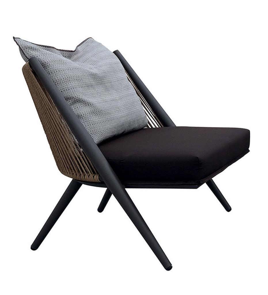 Allred Collaborative - Almeco - Graciela Lounge Chair - - Graciela Lounge Chair - - 201309600-M0004