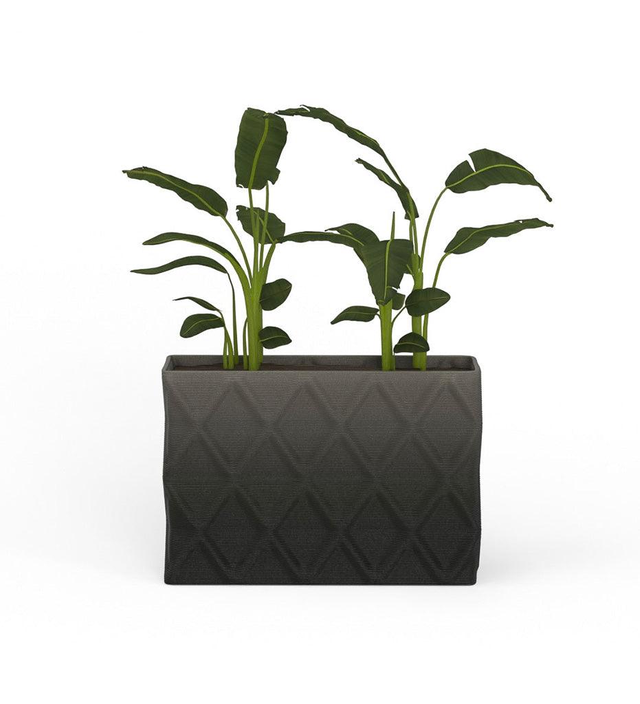 Allred Collaborative - Mobius - Avila Large Rectangular Planter - Diamond - - Avila Large Rectangular Planter - Diamond - - RCT1_26x39_0.24x1.25_PD1_GLCL