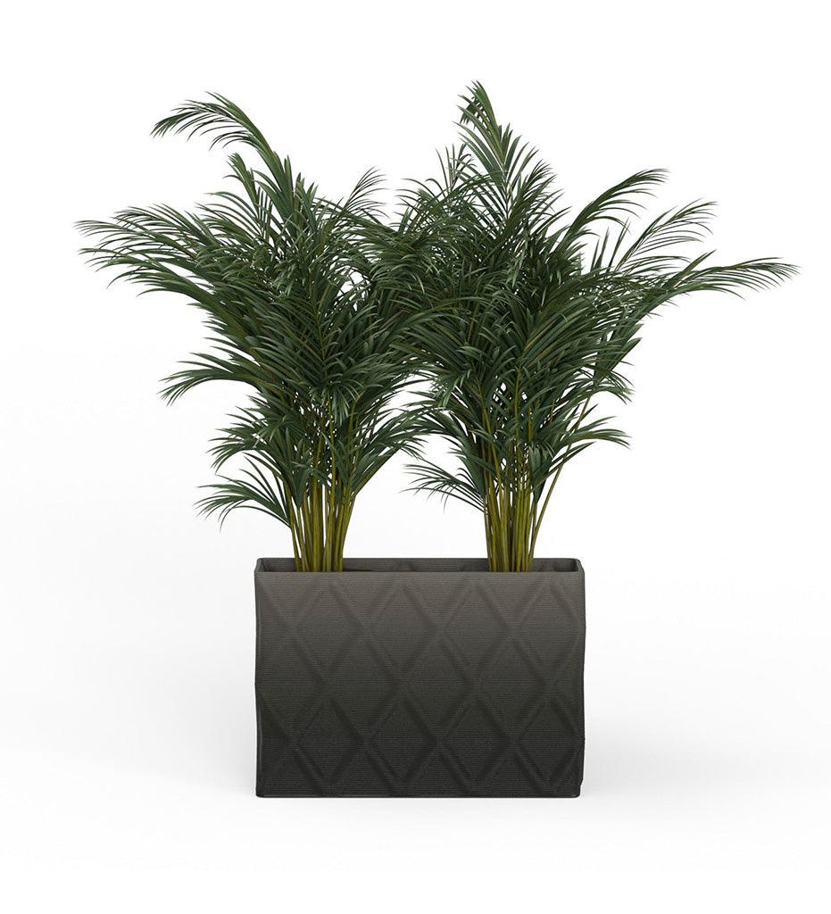 Allred Collaborative - Mobius - Avila X-Large Rectangular Planter - Diamond - - Avila X-Large Rectangular Planter - Diamond - - RCT1_32x46_0.24x1.25_PD1_HSLT