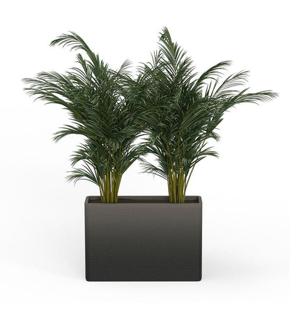 Allred Collaborative - Mobius - Avila X-Large Rectangular Planter - Stacks - - Avila X-Large Rectangular Planter - Stacks - - RCT1_32x46_0.24x1.25_P01_GLCL