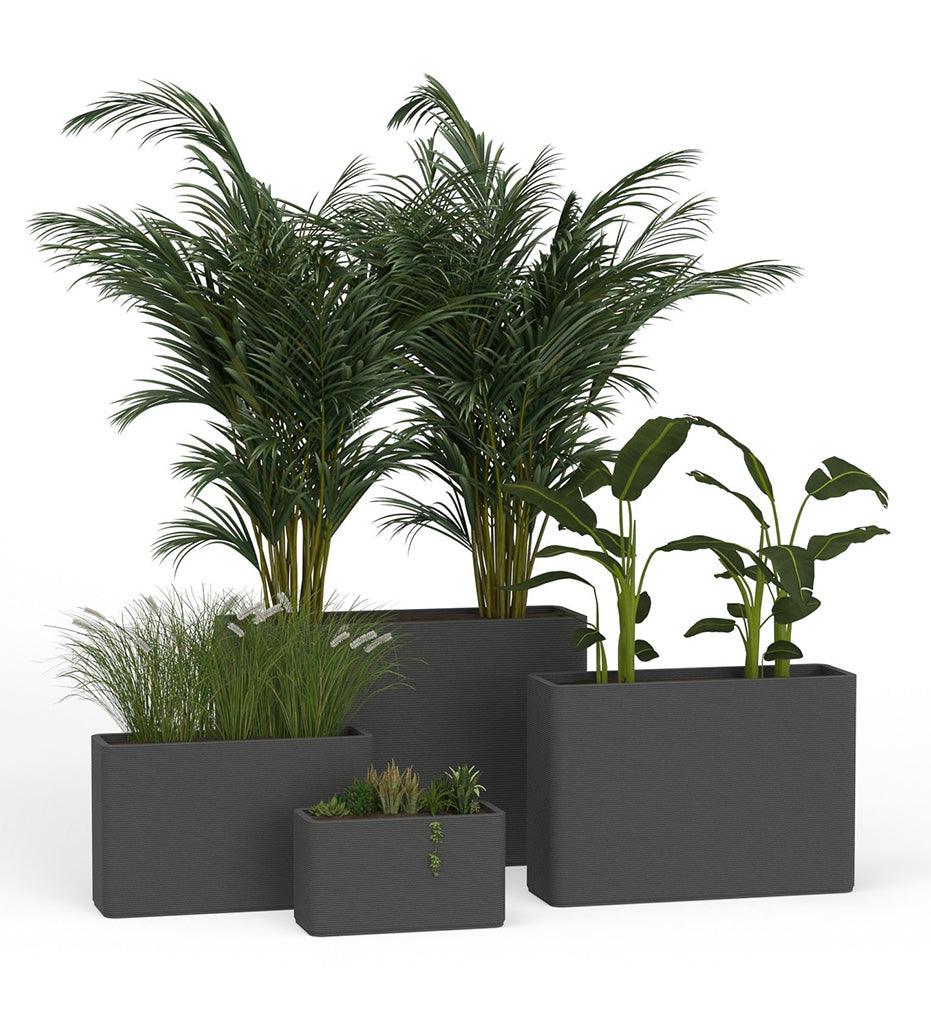 Allred Collaborative - Mobius - Avila X-Large Rectangular Planter - Stacks - - Avila X-Large Rectangular Planter - Stacks - - RCT1_32x46_0.24x1.25_P01_GLCL