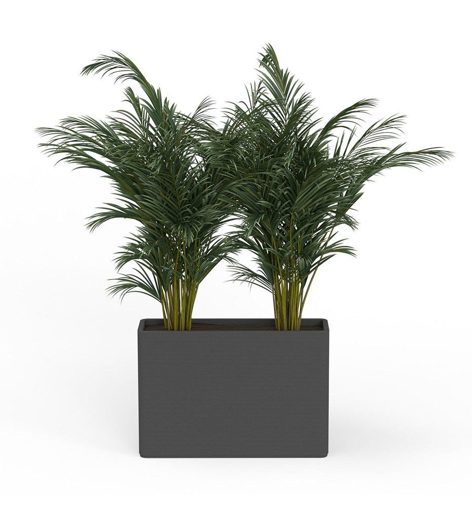 Allred Collaborative - Mobius - Avila X-Large Rectangular Planter - Stacks - - Avila X-Large Rectangular Planter - Stacks - - RCT1_32x46_0.24x1.25_P01_GLCL