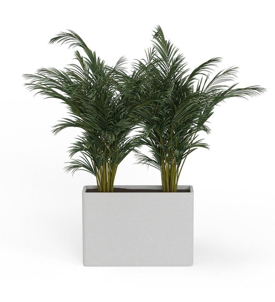 Allred Collaborative - Mobius - Avila X-Large Rectangular Planter - Stacks - - Avila X-Large Rectangular Planter - Stacks - - RCT1_32x46_0.24x1.25_P01_GLCL