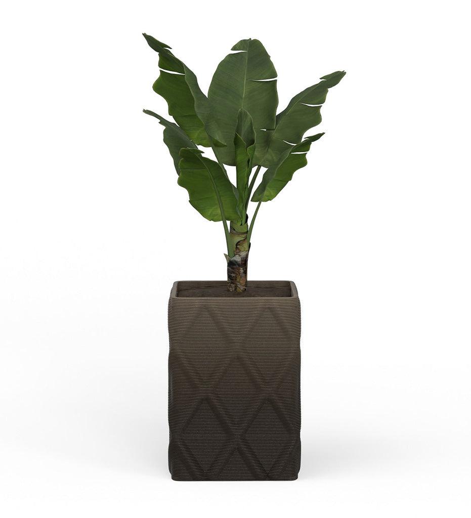 Allred Collaborative - Mobius - Montara Large Square Planter - Diamond - - Montara Large Square Planter - Diamond - - QDR1_26x19_0.24x1.25_PD1_GLCL