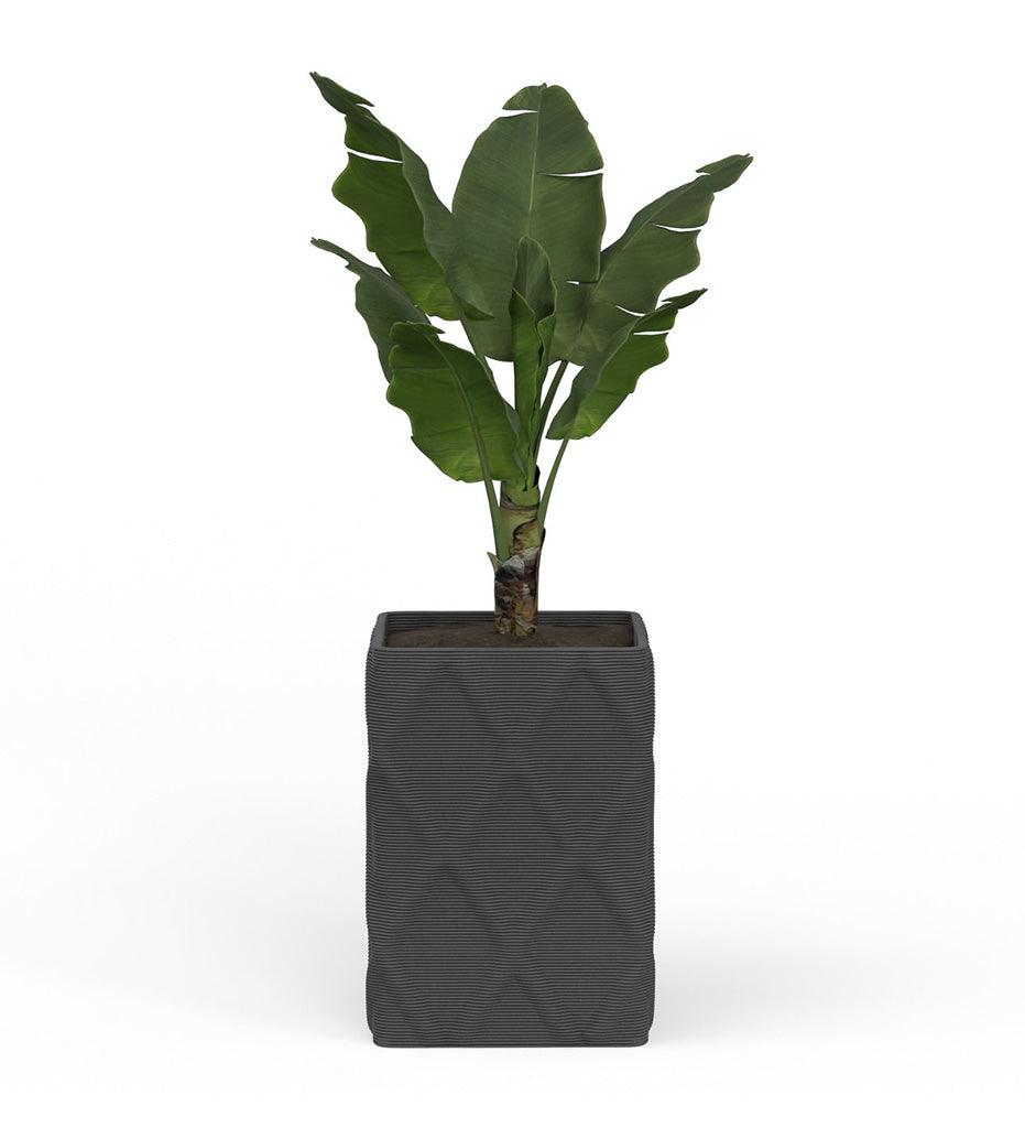 Allred Collaborative - Mobius - Montara Large Square Planter - Diamond - - Montara Large Square Planter - Diamond - - QDR1_26x19_0.24x1.25_PD1_GLCL