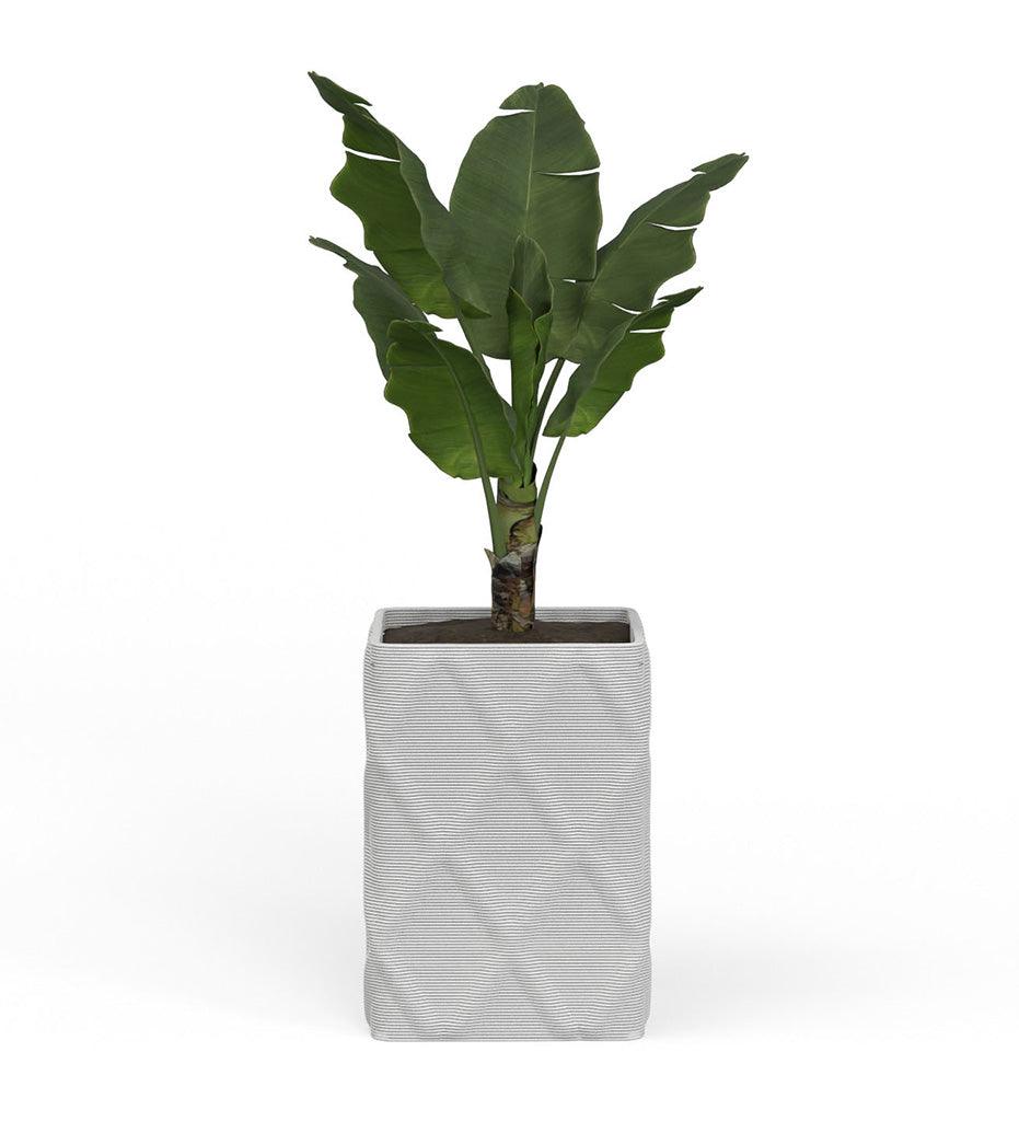 Allred Collaborative - Mobius - Montara Large Square Planter - Diamond - - Montara Large Square Planter - Diamond - - QDR1_26x19_0.24x1.25_PD1_GLCL