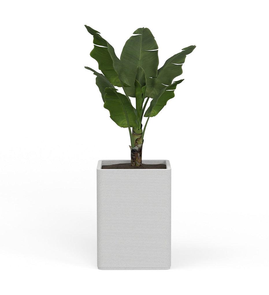 Allred Collaborative - Mobius - Montara Large Square Planter - Stacks - - Montara Large Square Planter - Stacks - - QDR1_26x19_0.24x1.25_P01_GLCL