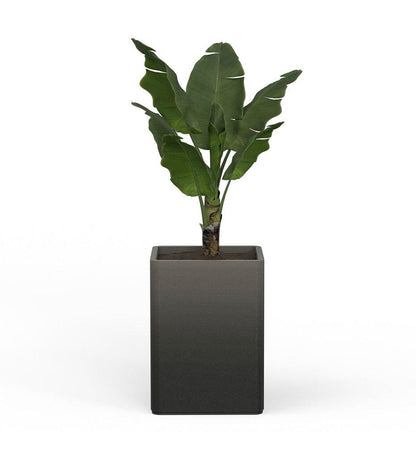 Allred Collaborative - Mobius - Montara Large Square Planter - Stacks - - Montara Large Square Planter - Stacks - - QDR1_26x19_0.24x1.25_P01_GLCL