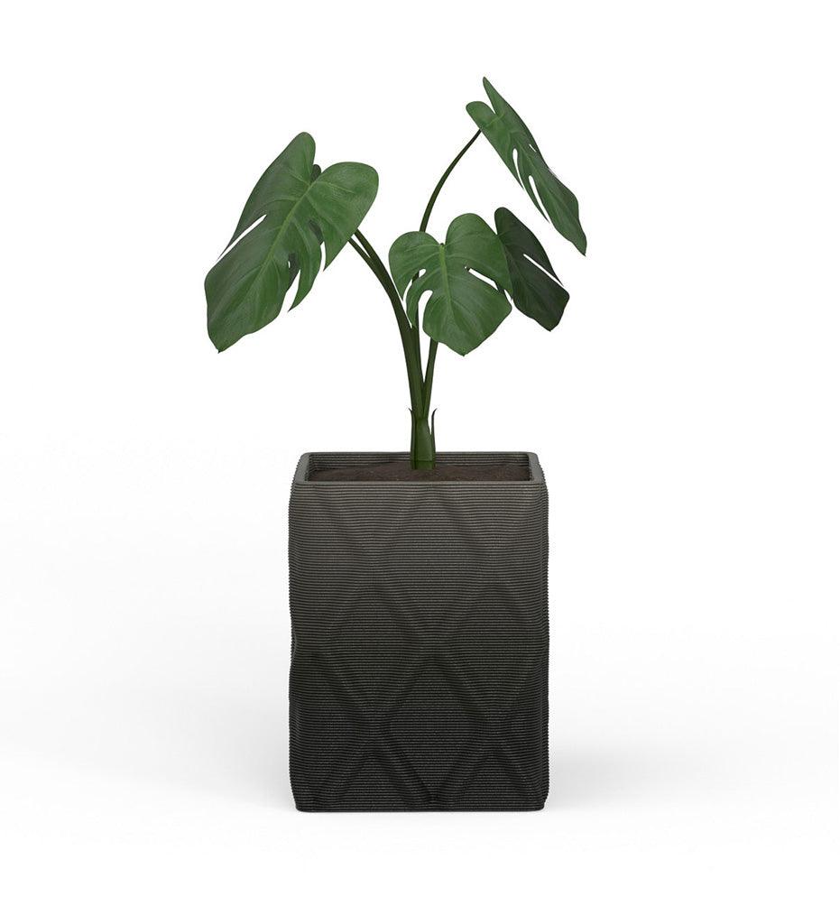 Allred Collaborative - Mobius - Montara Medium Square Planter - Diamond - - Montara Medium Square Planter - Diamond - - QDR1_20x16_0.24x1.25_PD1_GLCL