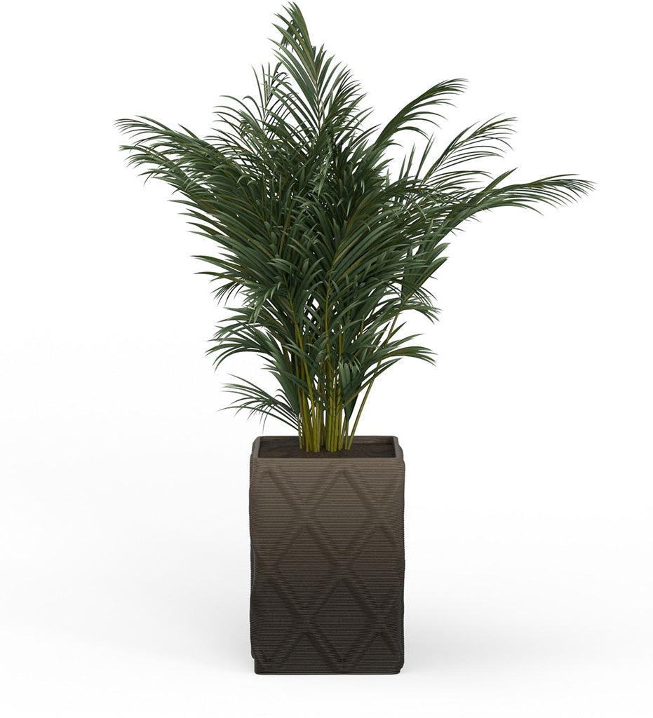 Allred Collaborative - Mobius - Montara X-Large Square Planter - Diamond - - Montara X-Large Square Planter - Diamond - - QDR1_32x23_0.24x1.25_PD1_CHRC