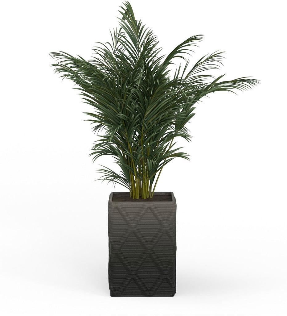 Allred Collaborative - Mobius - Montara X-Large Square Planter - Diamond - - Montara X-Large Square Planter - Diamond - - QDR1_32x23_0.24x1.25_PD1_CHRC