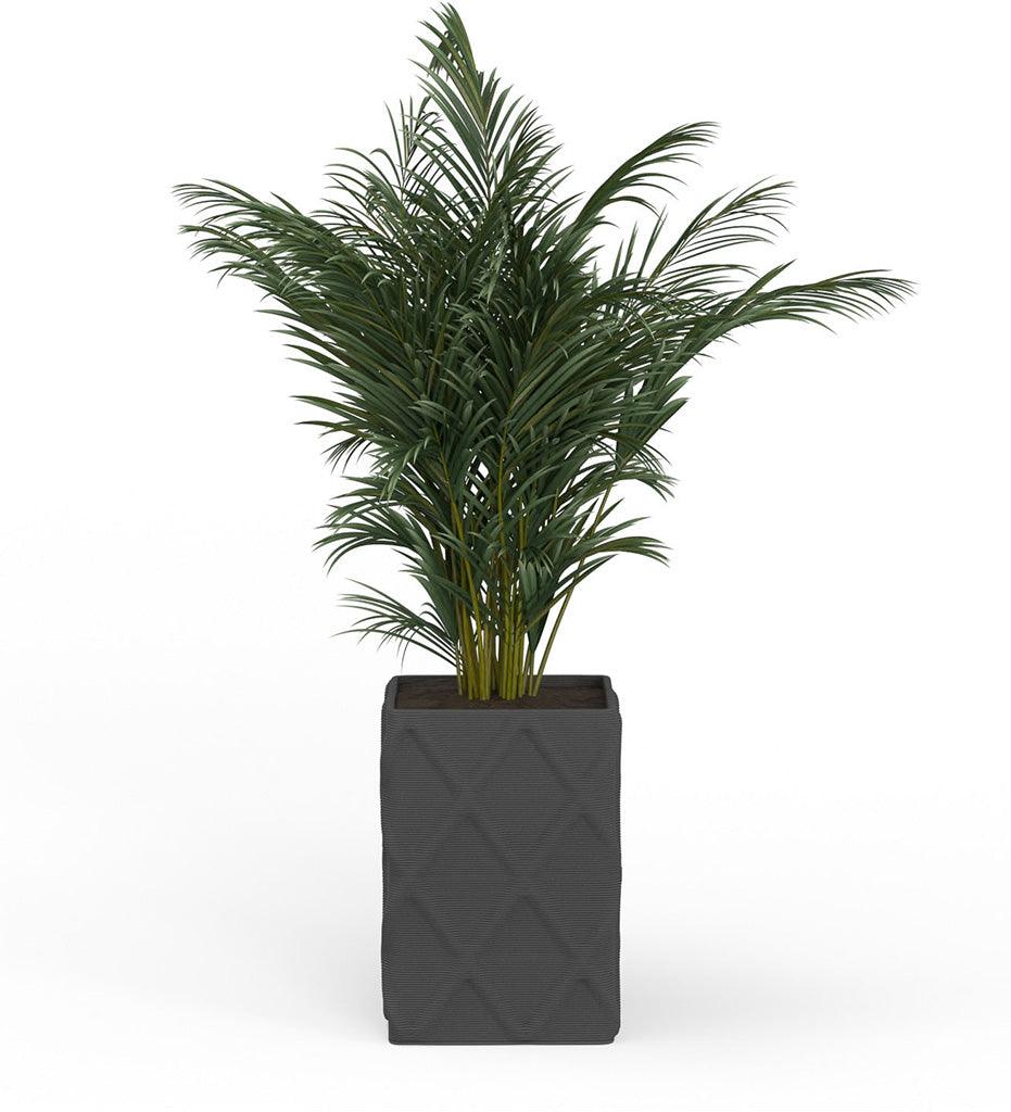 Allred Collaborative - Mobius - Montara X-Large Square Planter - Diamond - - Montara X-Large Square Planter - Diamond - - QDR1_32x23_0.24x1.25_PD1_CHRC