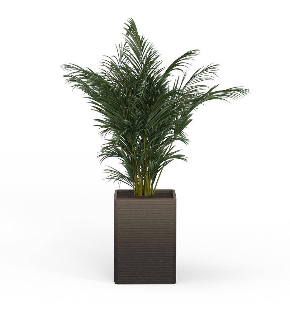 Allred Collaborative - Mobius - Montara X-Large Square Planter - Stacks - - Montara X-Large Square Planter - Stacks - - QDR1_32x23_0.24x1.25_P01_GLCL