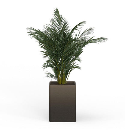 Allred Collaborative - Mobius - Montara X-Large Square Planter - Stacks - - Montara X-Large Square Planter - Stacks - - QDR1_32x23_0.24x1.25_P01_GLCL