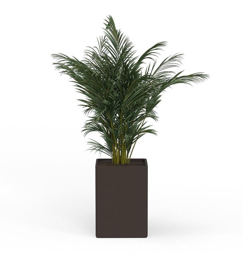 Allred Collaborative - Mobius - Montara X-Large Square Planter - Stacks - - Montara X-Large Square Planter - Stacks - - QDR1_32x23_0.24x1.25_P01_GLCL