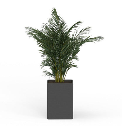 Allred Collaborative - Mobius - Montara X-Large Square Planter - Stacks - - Montara X-Large Square Planter - Stacks - - QDR1_32x23_0.24x1.25_P01_GLCL