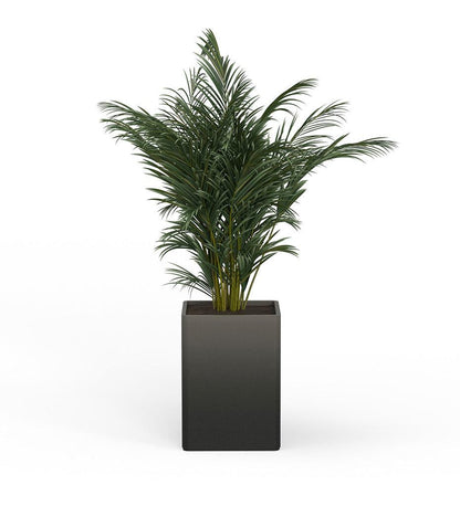 Allred Collaborative - Mobius - Montara X-Large Square Planter - Stacks - - Montara X-Large Square Planter - Stacks - - QDR1_32x23_0.24x1.25_P01_GLCL