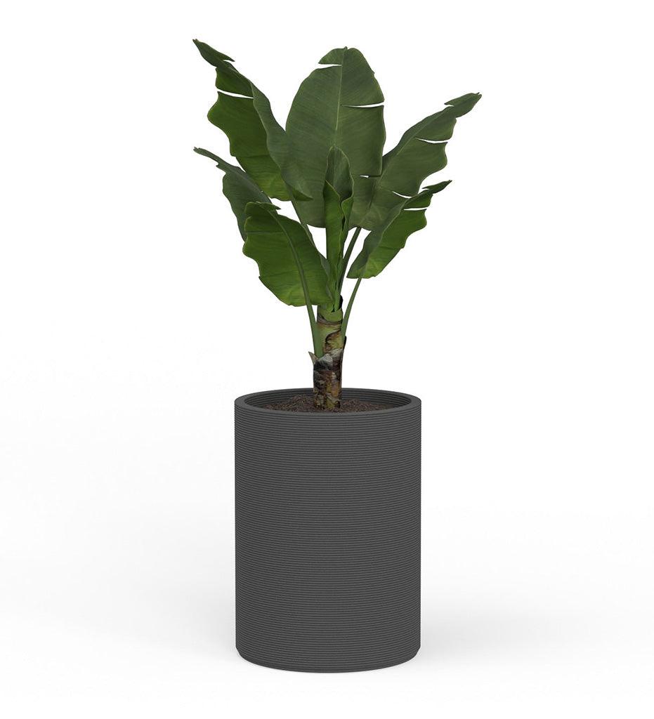 Allred Collaborative - Mobius - Solana Large Round Planter - Stacks - - Solana Large Round Planter - Stacks - - CYL1_26x19_0.24x1.25_P01_TRRB