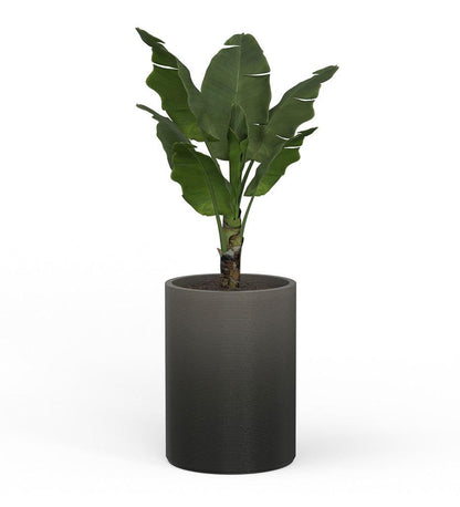 Allred Collaborative - Mobius - Solana Large Round Planter - Stacks - - Solana Large Round Planter - Stacks - - CYL1_26x19_0.24x1.25_P01_TRRB