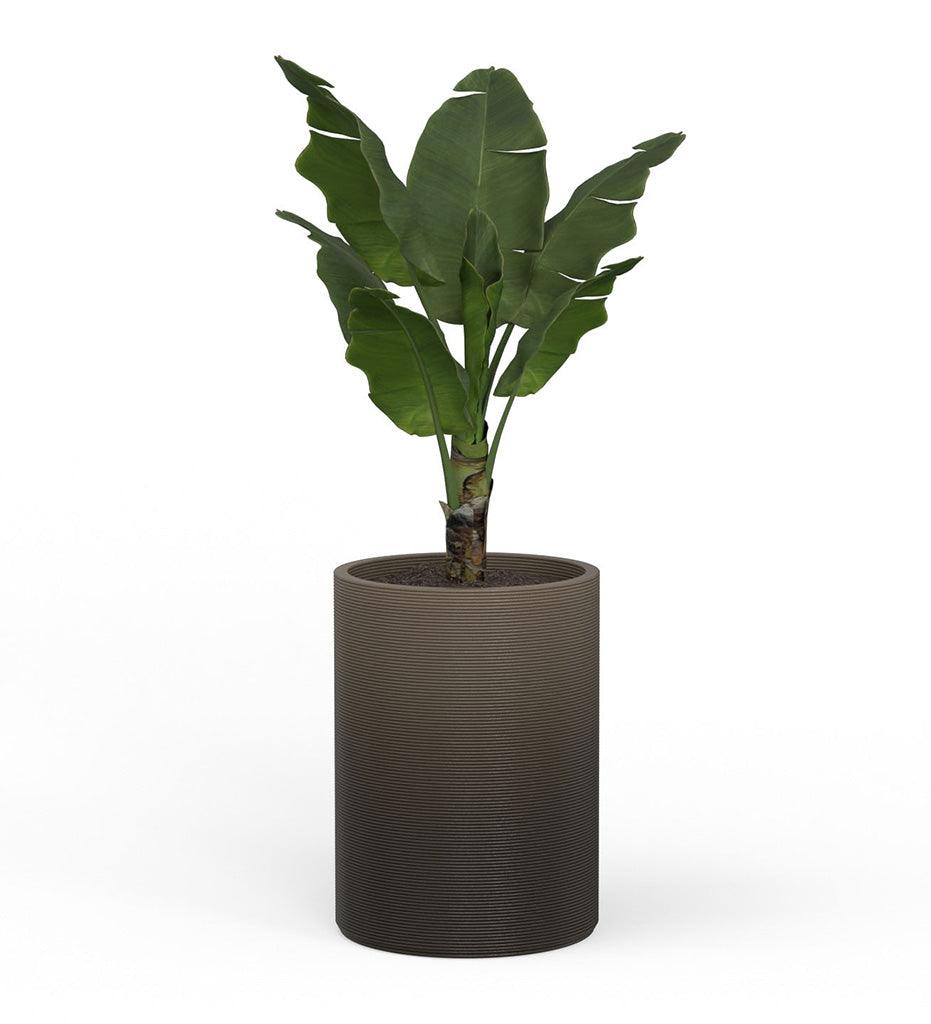 Allred Collaborative - Mobius - Solana Large Round Planter - Stacks - - Solana Large Round Planter - Stacks - - CYL1_26x19_0.24x1.25_P01_TRRB