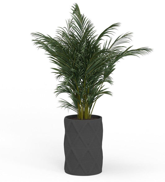 Allred Collaborative - Mobius - Solana X-Large Round Planter - Diamond - - Solana X-Large Round Planter - Diamond - - CYL1_32x23_0.24x1.25_PD1_HSLT