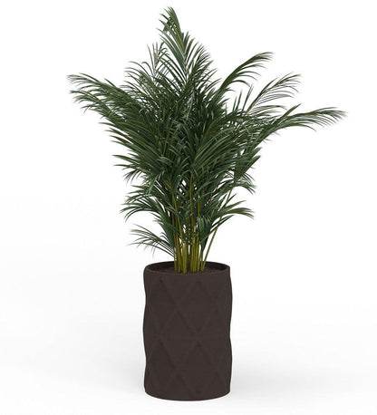 Allred Collaborative - Mobius - Solana X-Large Round Planter - Diamond - - Solana X-Large Round Planter - Diamond - - CYL1_32x23_0.24x1.25_PD1_HSLT