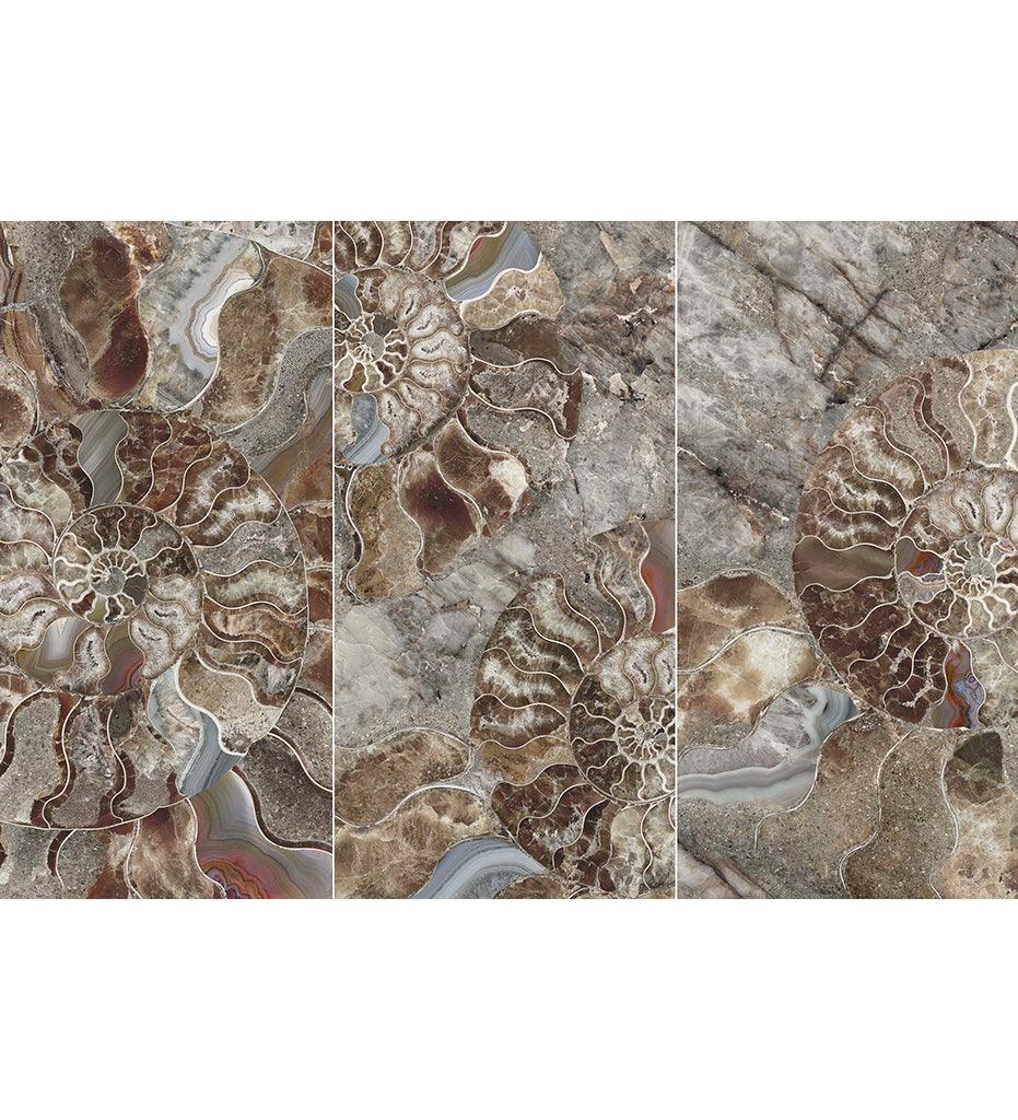 Allred Collaborative - Tecnografica Wall Coverings - Shell Decorative Panels - Shell Decorative Panels - 79259