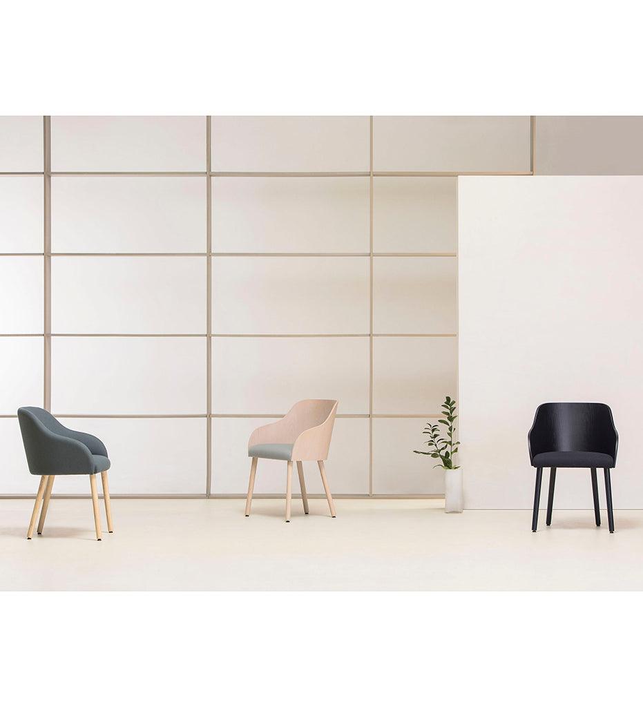 Allred Collaborative - Verges Design - Cistell Curve Arm Chair - Wood Legs - Cistell Curve Arm Chair - Wood Legs Cistell Curve Arm Chair - Wood Legs - Beech 791-01-BCH