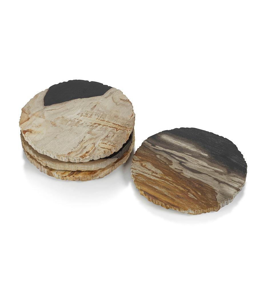 Allred Collaborative - Zodax - Curio Bay Petrified Wood Coaster - Curio Bay Petrified Wood Coaster - ID-417