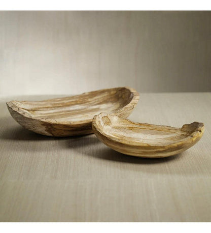 Allred Collaborative - Zodax - Curio Bay Petrified Wood Oval Bowl - Curio Bay Petrified Wood Oval Bowl - ID-421