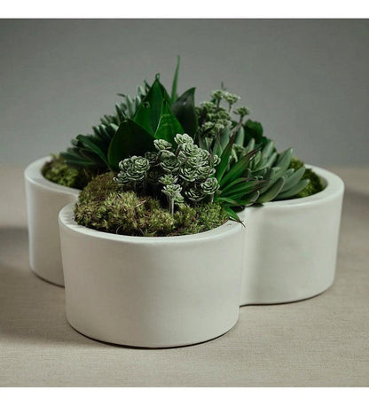 Allred Collaborative - Zodax - Earthenware Flower Shape Planter / Bowl - Earthenware Flower Shape Planter / Bowl - VT-1401