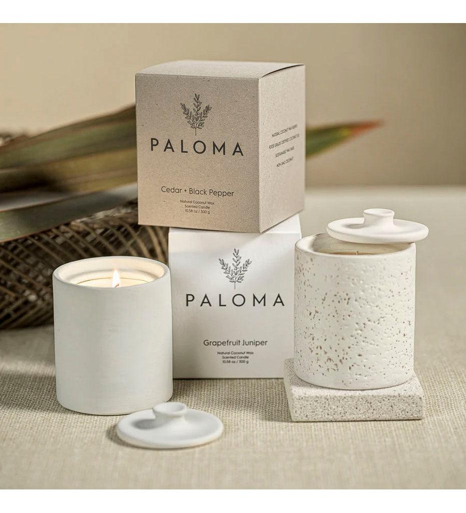 Allred Collaborative - Zodax - Paloma Scented Candle in Clay Jar - Paloma Scented Candle in Clay Jar - IG-2635