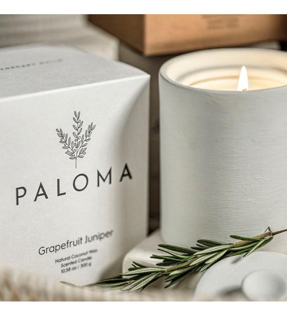 Allred Collaborative - Zodax - Paloma Scented Candle in Clay Jar - Paloma Scented Candle in Clay Jar - IG-2635