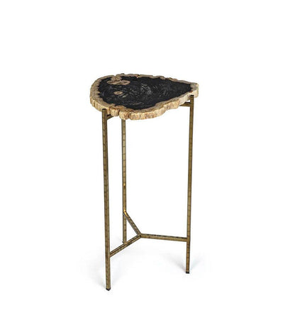 Allred Collaborative - Zodax - Porto Alegre Petrified Wood Side Table - Porto Alegre Petrified Wood Side Table - ID-375