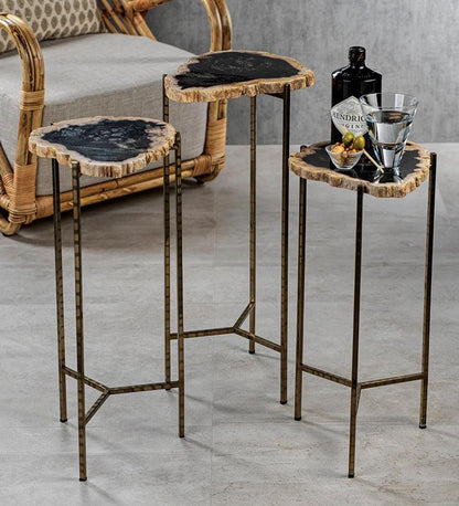 Allred Collaborative - Zodax - Porto Alegre Petrified Wood Side Table - Porto Alegre Petrified Wood Side Table - ID-375